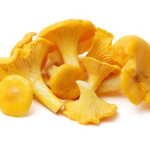 chanterelle mushrooms uk